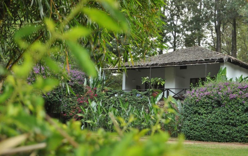 The Plantation Lodge