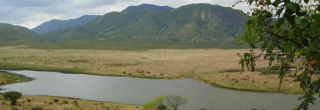 Mkomazi National Park Tanzania
