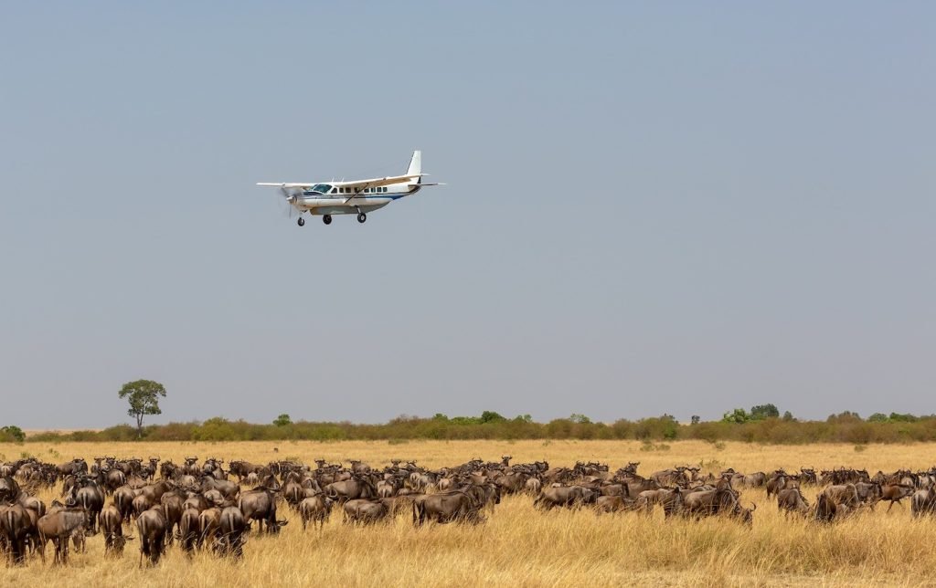 fly-in-safaris