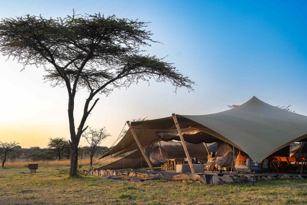 Wilderness Usawa Serengeti