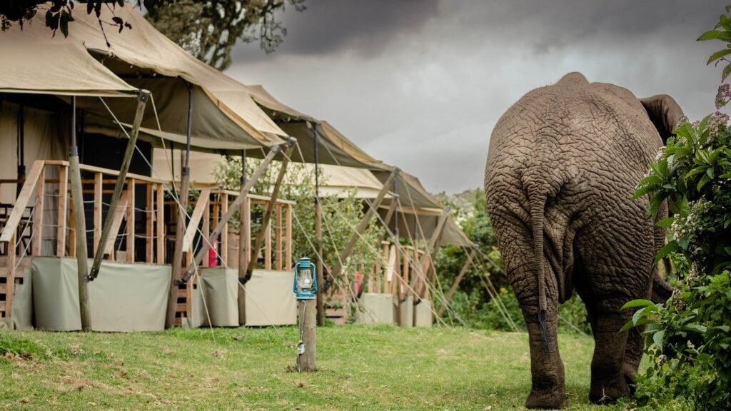 Ang'ata Ngorongoro sarafu travel 1 3