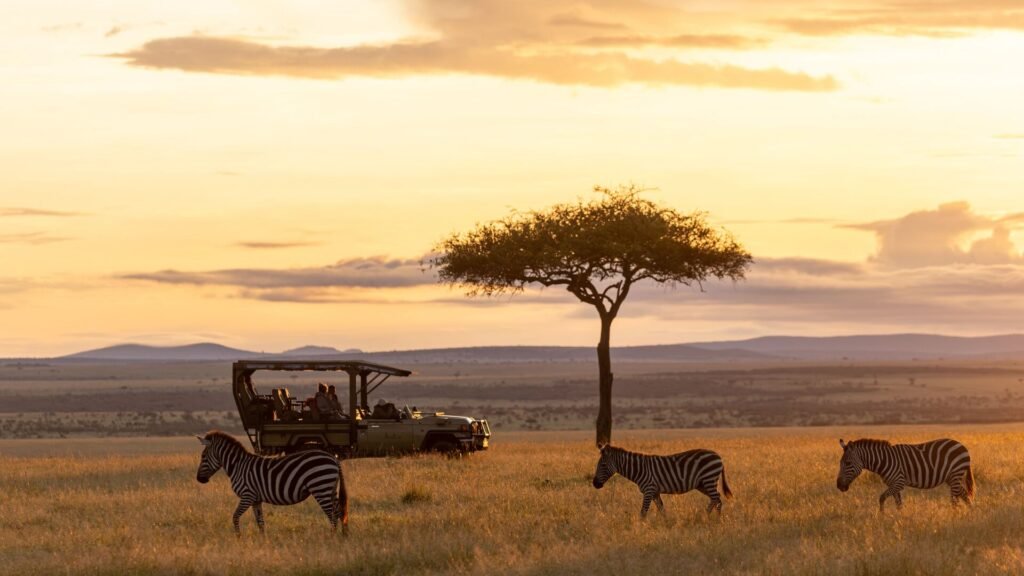 Naboisho sunset game drive