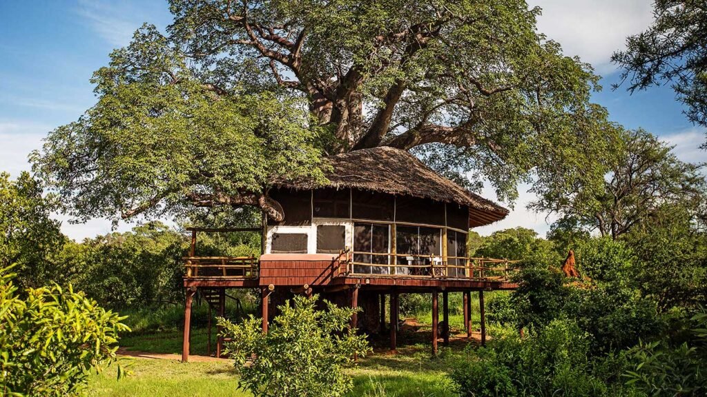 Tarangire Treetops accommodation exterior view of Treehouse Suite sarafu travel