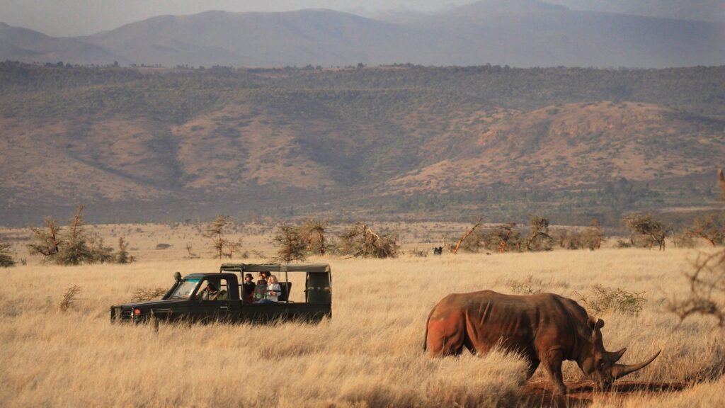 Visit Lewa Downs Conservancy