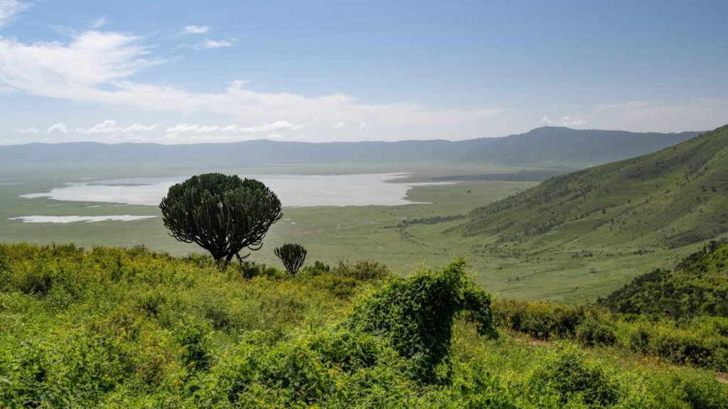 drone view of tanzania ngorongoro conservation a 2025 02 02 13 38 23 utc scaled