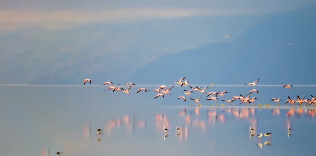 lake manyara national park banner