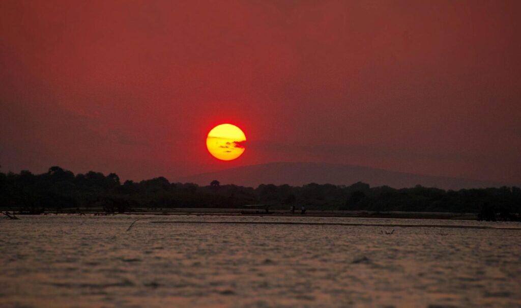 rufiji boat cruise featured