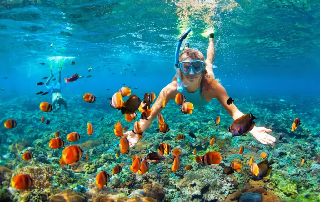 snorkeling Sarafu travel