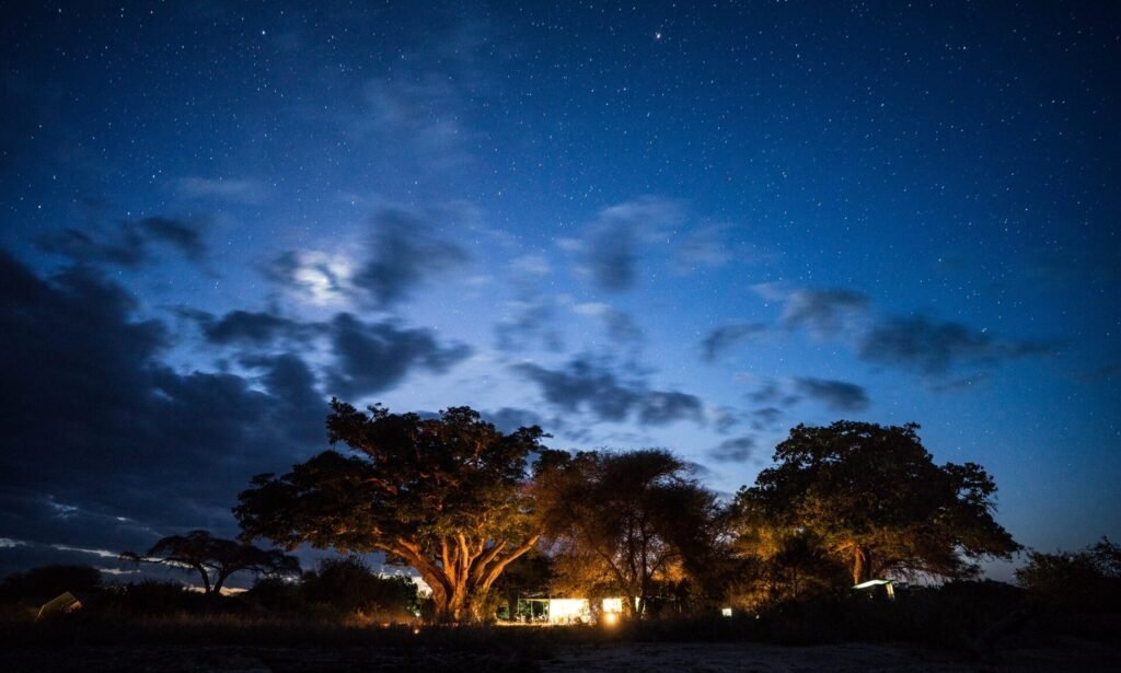 tanzania tarangire national park tarangire view lodge 6