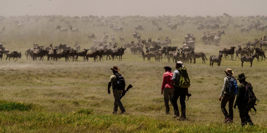 walking safari wayo trekking fly camp the serengeti tanzania